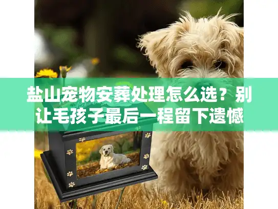 盐山宠物安葬处理怎么选？别让毛孩子最后一程留下遗憾