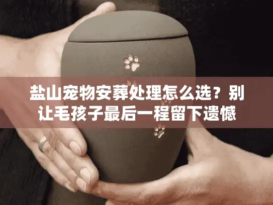 盐山宠物安葬处理怎么选？别让毛孩子最后一程留下遗憾