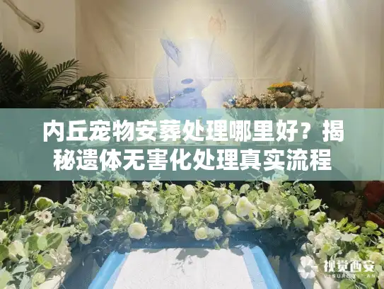 内丘宠物安葬处理哪里好？揭秘遗体无害化处理真实流程