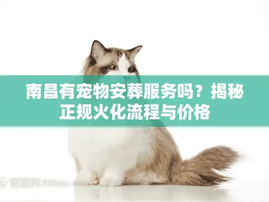 南昌有宠物安葬服务吗？揭秘正规火化流程与价格