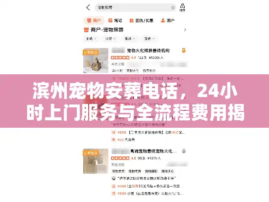 滨州宠物安葬电话，24小时上门服务与全流程费用揭秘