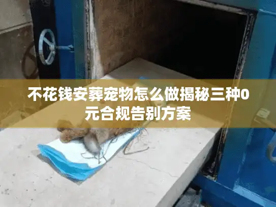 不花钱安葬宠物怎么做揭秘三种0元合规告别方案