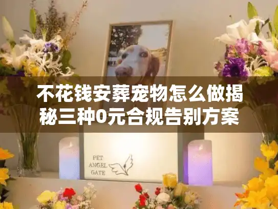 不花钱安葬宠物怎么做揭秘三种0元合规告别方案