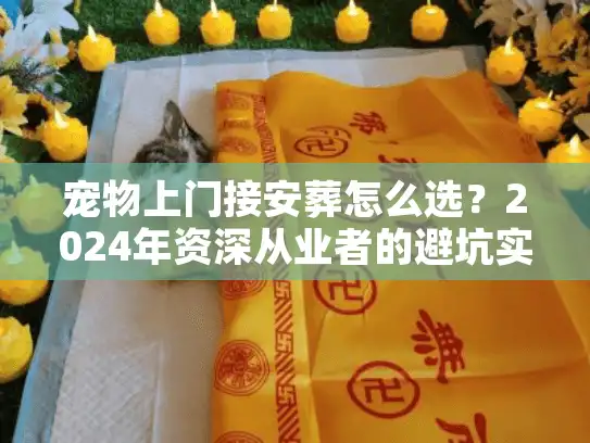 宠物上门接安葬怎么选？2024年资深从业者的避坑实话