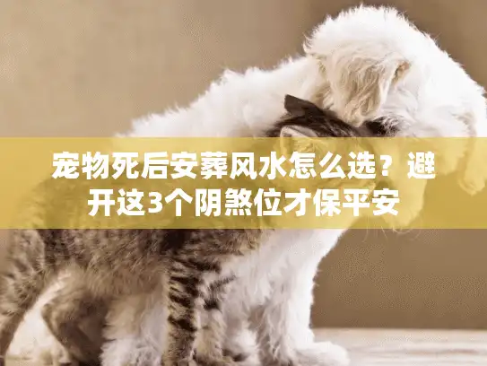 宠物死后安葬风水怎么选？避开这3个阴煞位才保平安