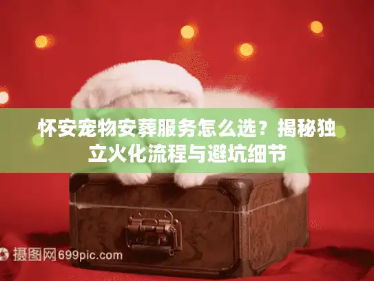 怀安宠物安葬服务怎么选？揭秘独立火化流程与避坑细节