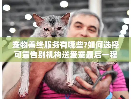 宠物善终服务有哪些?如何选择可靠告别机构送爱宠最后一程