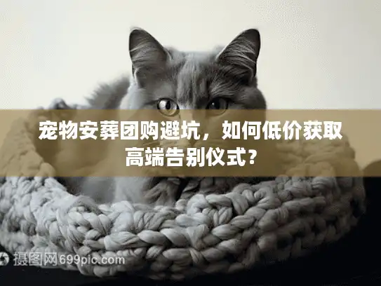 宠物安葬团购避坑，如何低价获取高端告别仪式？