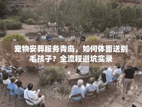 宠物安葬服务青岛，如何体面送别毛孩子？全流程避坑实录