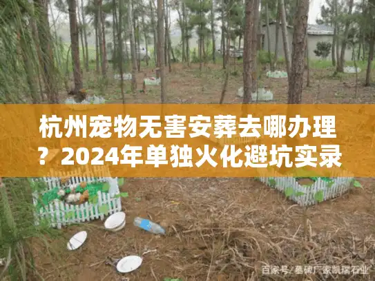 杭州宠物无害安葬去哪办理？2024年单独火化避坑实录