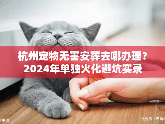 杭州宠物无害安葬去哪办理？2024年单独火化避坑实录
