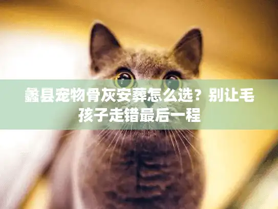 蠡县宠物骨灰安葬怎么选？别让毛孩子走错最后一程