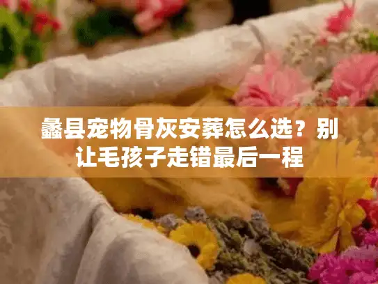 蠡县宠物骨灰安葬怎么选？别让毛孩子走错最后一程