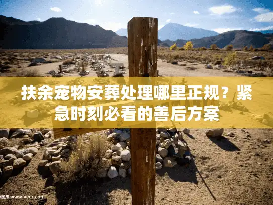 扶余宠物安葬处理哪里正规？紧急时刻必看的善后方案