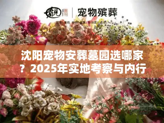 沈阳宠物安葬墓园选哪家？2025年实地考察与内行推荐