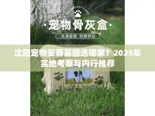 沈阳宠物安葬墓园选哪家？2025年实地考察与内行推荐