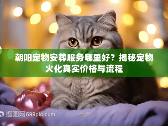 朝阳宠物安葬服务哪里好？揭秘宠物火化真实价格与流程