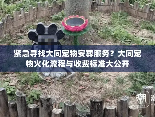 紧急寻找大同宠物安葬服务？大同宠物火化流程与收费标准大公开