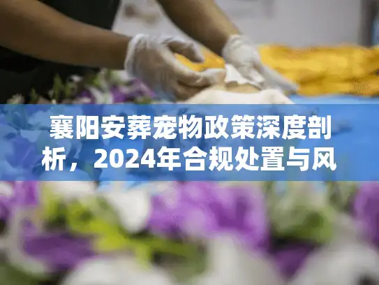 襄阳安葬宠物政策深度剖析，2024年合规处置与风险规避