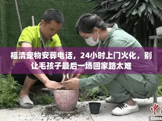 福清宠物安葬电话，24小时上门火化，别让毛孩子最后一场回家路太难