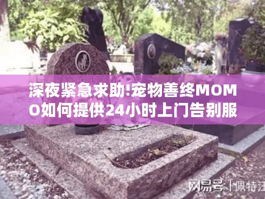 深夜紧急求助!宠物善终MOMO如何提供24小时上门告别服务