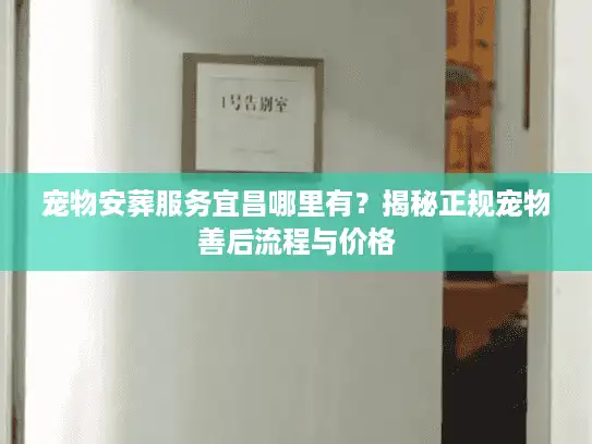 宠物安葬服务宜昌哪里有？揭秘正规宠物善后流程与价格