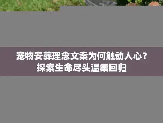 宠物安葬理念文案为何触动人心？探索生命尽头温柔回归
