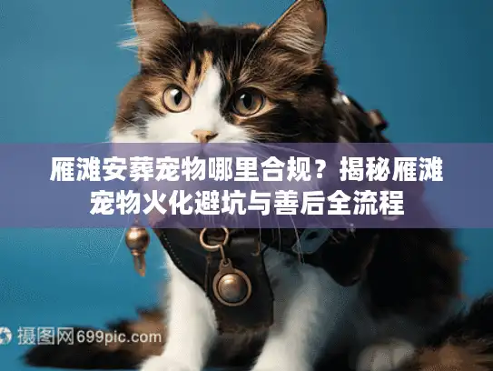 雁滩安葬宠物哪里合规？揭秘雁滩宠物火化避坑与善后全流程