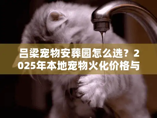 吕梁宠物安葬园怎么选？2025年本地宠物火化价格与善后避坑实录
