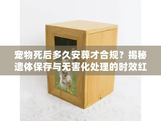 宠物死后多久安葬才合规？揭秘遗体保存与无害化处理的时效红线