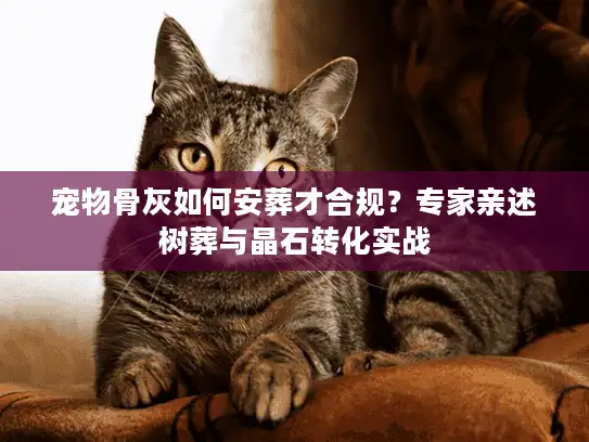 宠物骨灰如何安葬才合规？专家亲述树葬与晶石转化实战