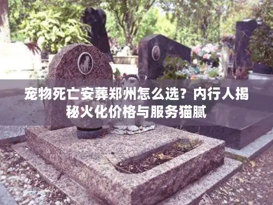 宠物死亡安葬郑州怎么选？内行人揭秘火化价格与服务猫腻