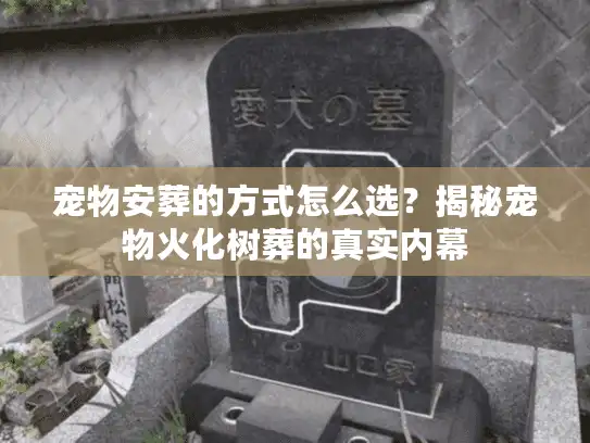 宠物安葬的方式怎么选？揭秘宠物火化树葬的真实内幕