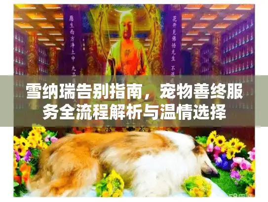 雪纳瑞告别指南，宠物善终服务全流程解析与温情选择