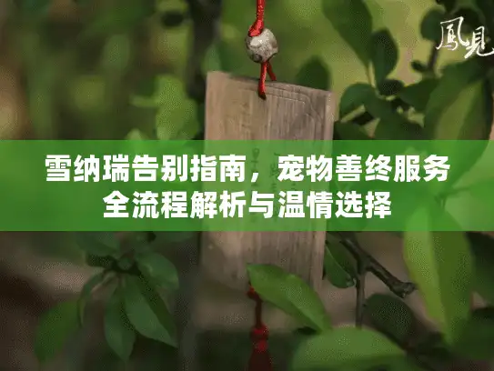 雪纳瑞告别指南，宠物善终服务全流程解析与温情选择