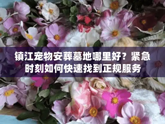 镇江宠物安葬墓地哪里好？紧急时刻如何快速找到正规服务