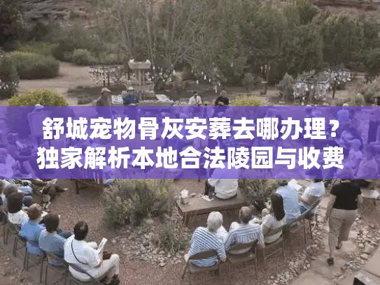舒城宠物骨灰安葬去哪办理？独家解析本地合法陵园与收费标准