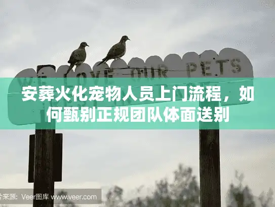 安葬火化宠物人员上门流程，如何甄别正规团队体面送别
