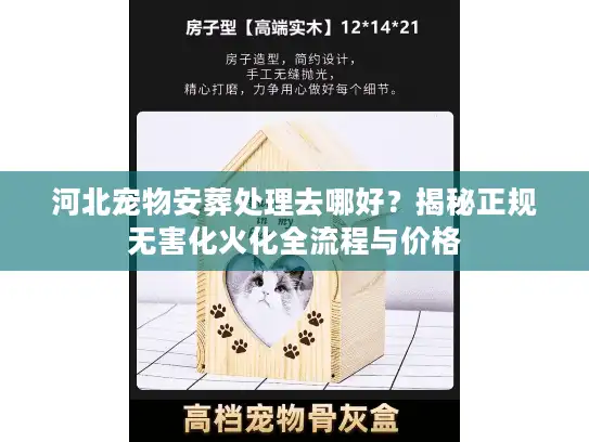 河北宠物安葬处理去哪好？揭秘正规无害化火化全流程与价格