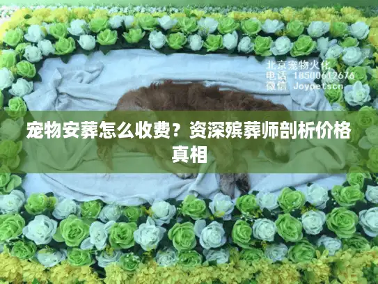 宠物安葬怎么收费？资深殡葬师剖析价格真相