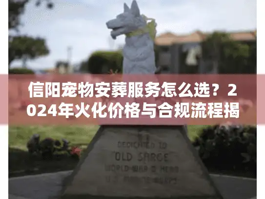 信阳宠物安葬服务怎么选？2024年火化价格与合规流程揭秘