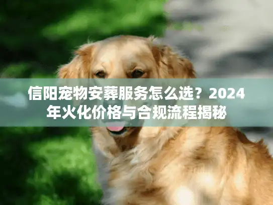 信阳宠物安葬服务怎么选？2024年火化价格与合规流程揭秘