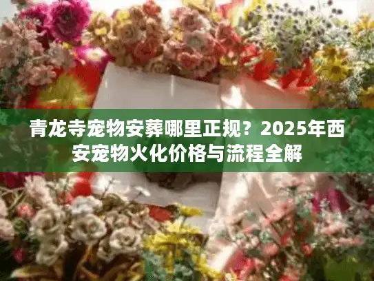 青龙寺宠物安葬哪里正规？2025年西安宠物火化价格与流程全解