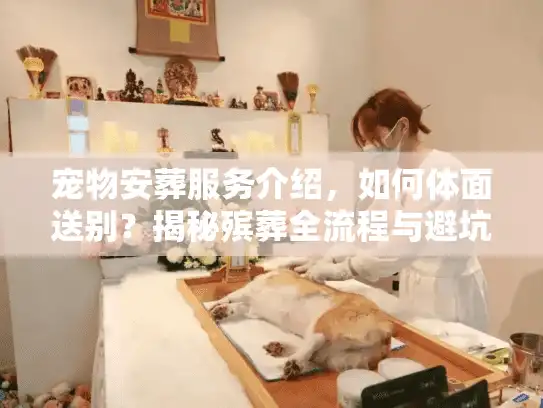 宠物安葬服务介绍，如何体面送别？揭秘殡葬全流程与避坑细节