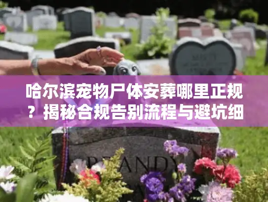 哈尔滨宠物尸体安葬哪里正规？揭秘合规告别流程与避坑细节