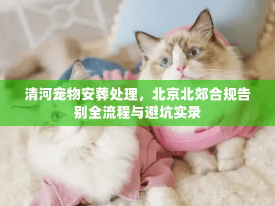 清河宠物安葬处理，北京北郊合规告别全流程与避坑实录