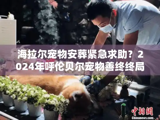 海拉尔宠物安葬紧急求助？2024年呼伦贝尔宠物善终终局避坑实录
