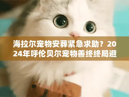 海拉尔宠物安葬紧急求助？2024年呼伦贝尔宠物善终终局避坑实录