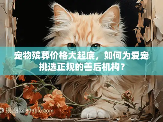 宠物殡葬价格大起底，如何为爱宠挑选正规的善后机构？
