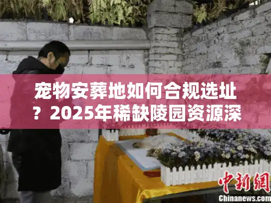 宠物安葬地如何合规选址？2025年稀缺陵园资源深度解析